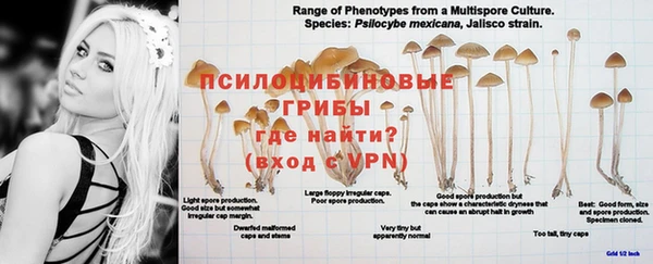 МДПВ Вяземский