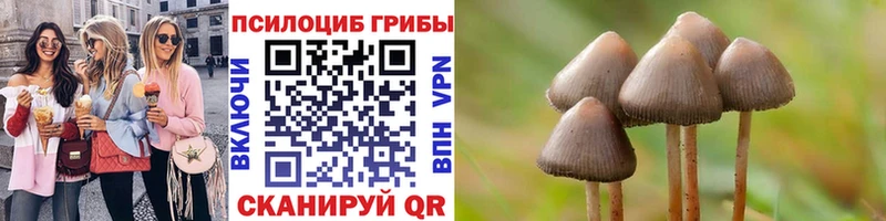 Псилоцибиновые грибы GOLDEN TEACHER  где купить наркоту  Улан-Удэ 