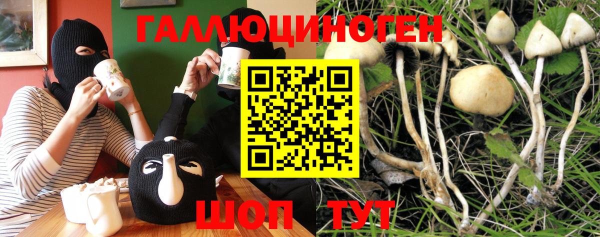 Улан-Удэ  Псилоцибиновые грибы ЛСД  Вход с VPN 